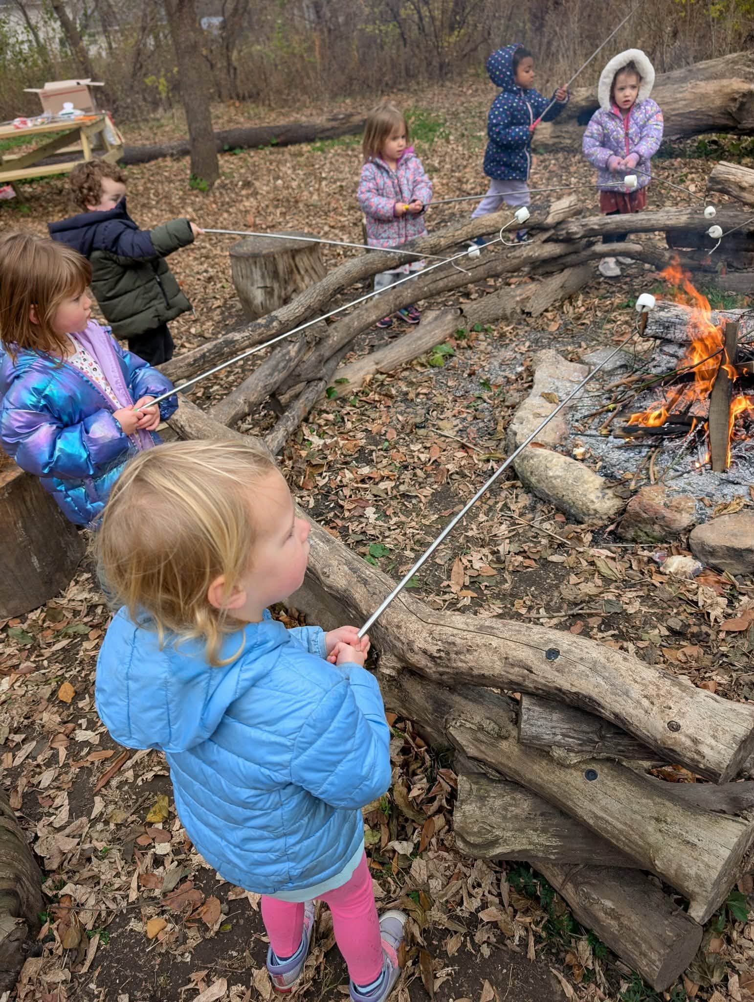 firepit with kids roasting marshmallows