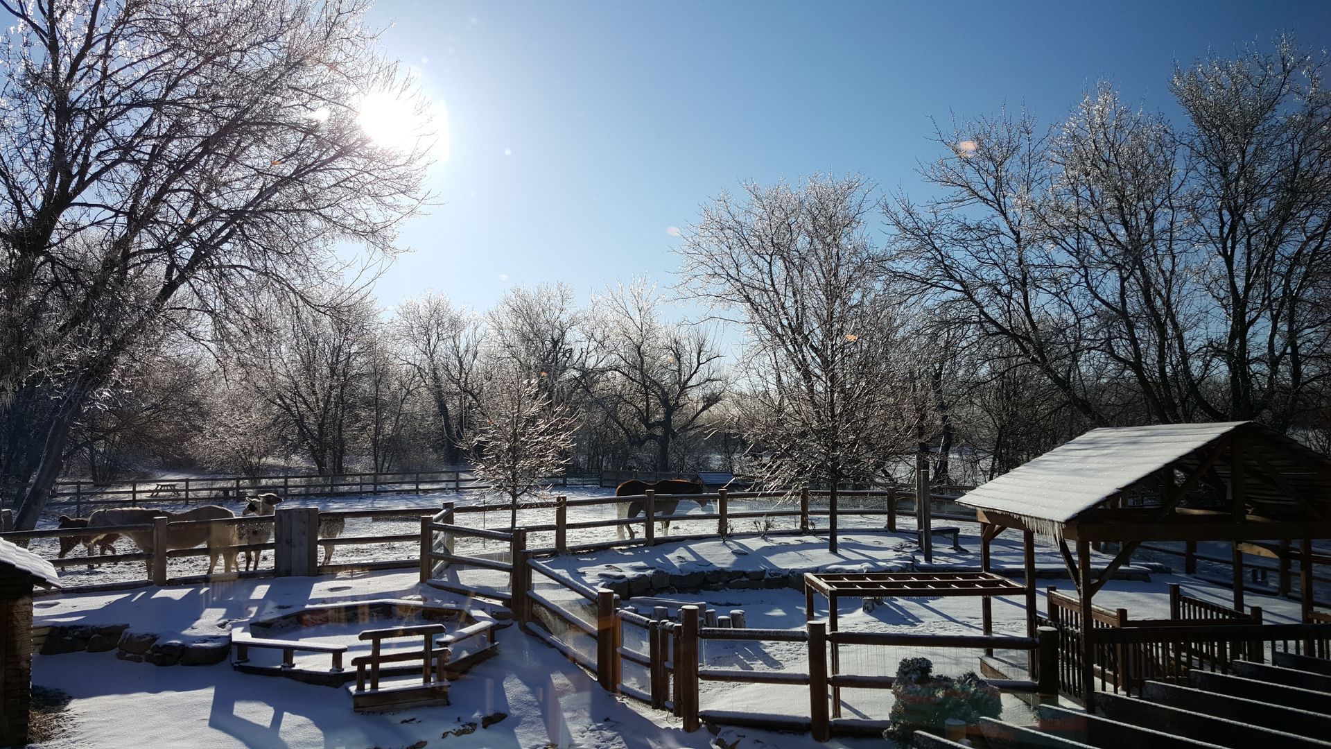 Winter Campus Landscape