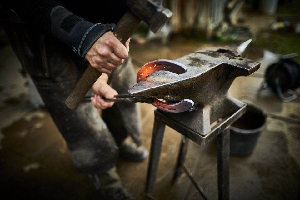 furgone gambino trasporti