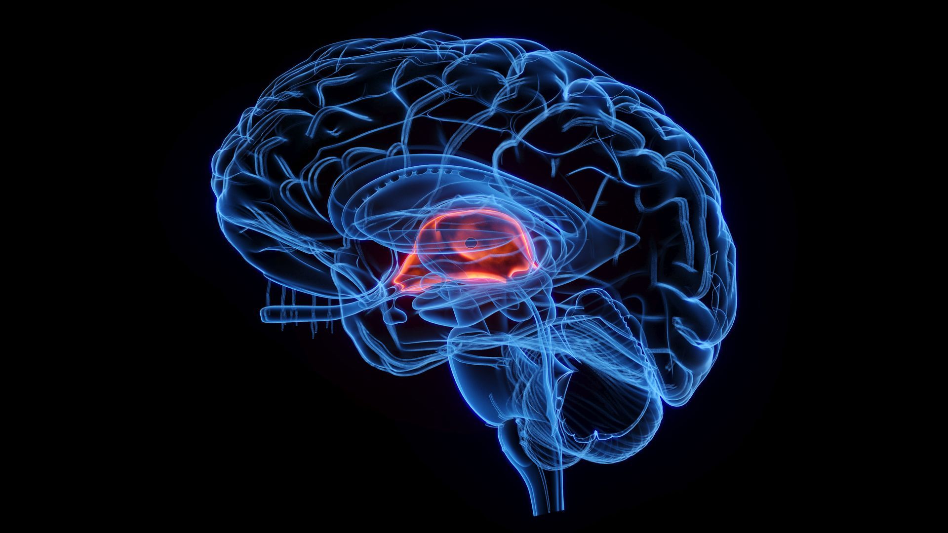 Neurocirurgião para hidrocefalia no Rio de Janeiro: É possível sobreviver?