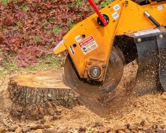 A stump grinder is cutting a tree stump in the ground.