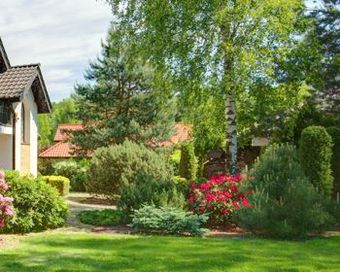 A house with a lush green lawn in front of it surrounded by trees and bushes.