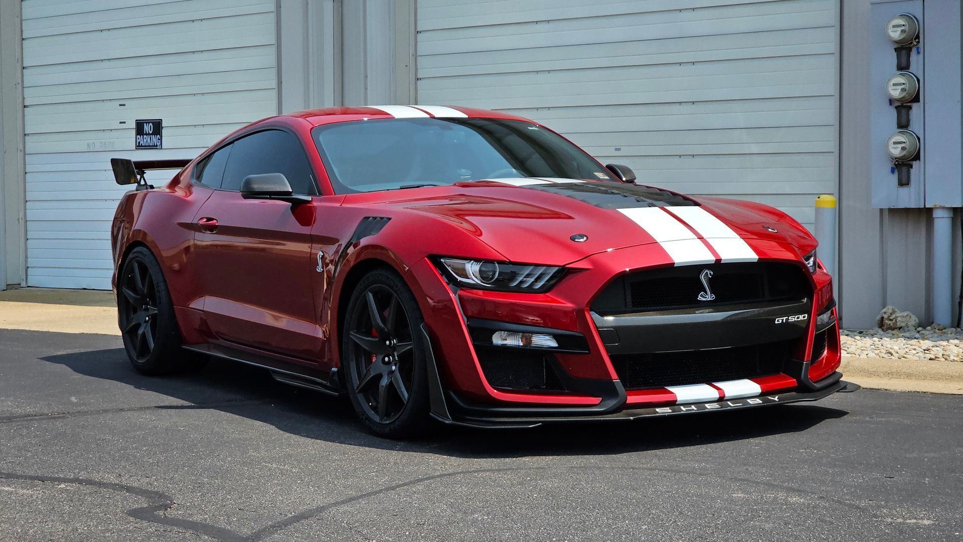 Shelby GT500 Paint Protected