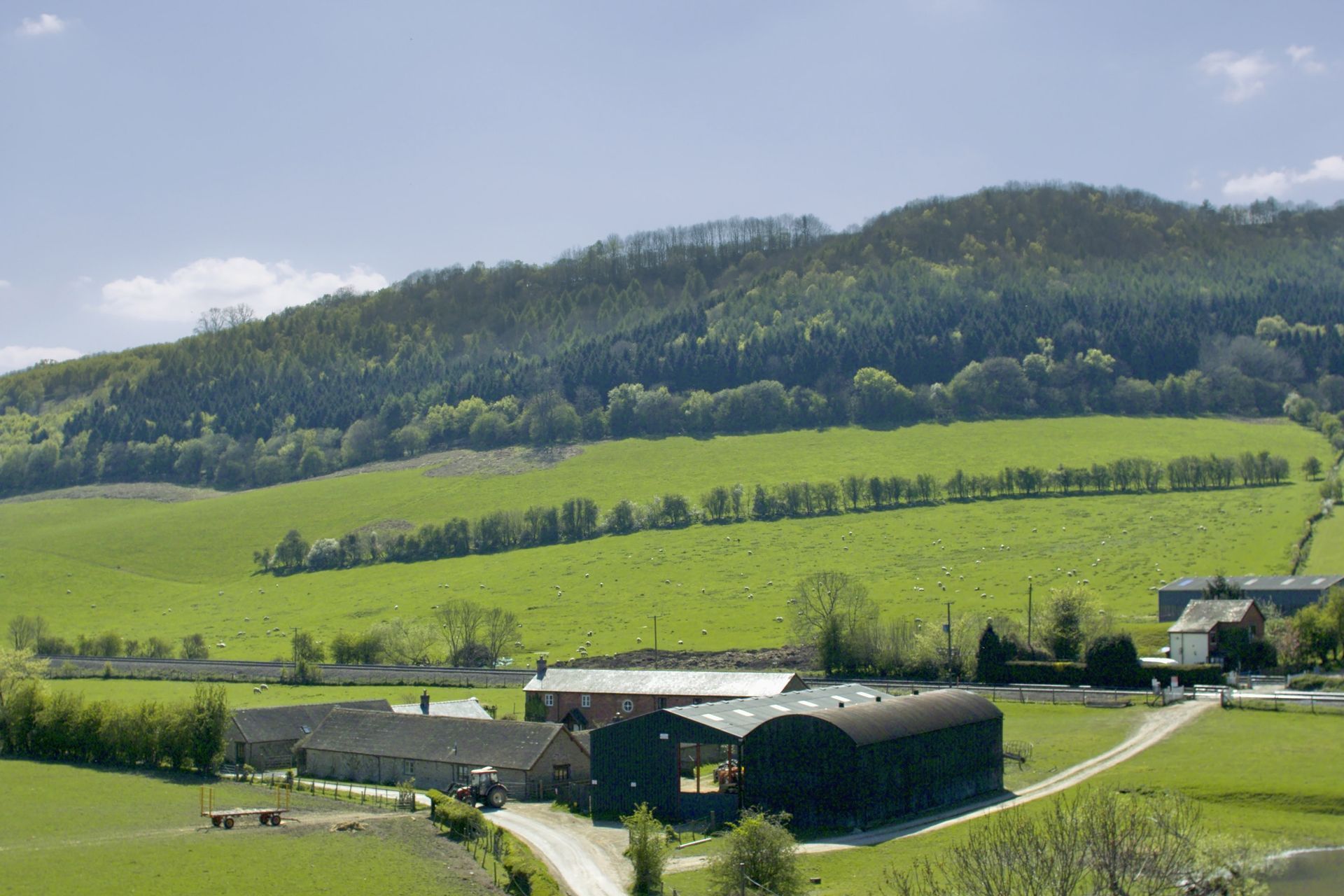 A farm in the middle of a lush green field