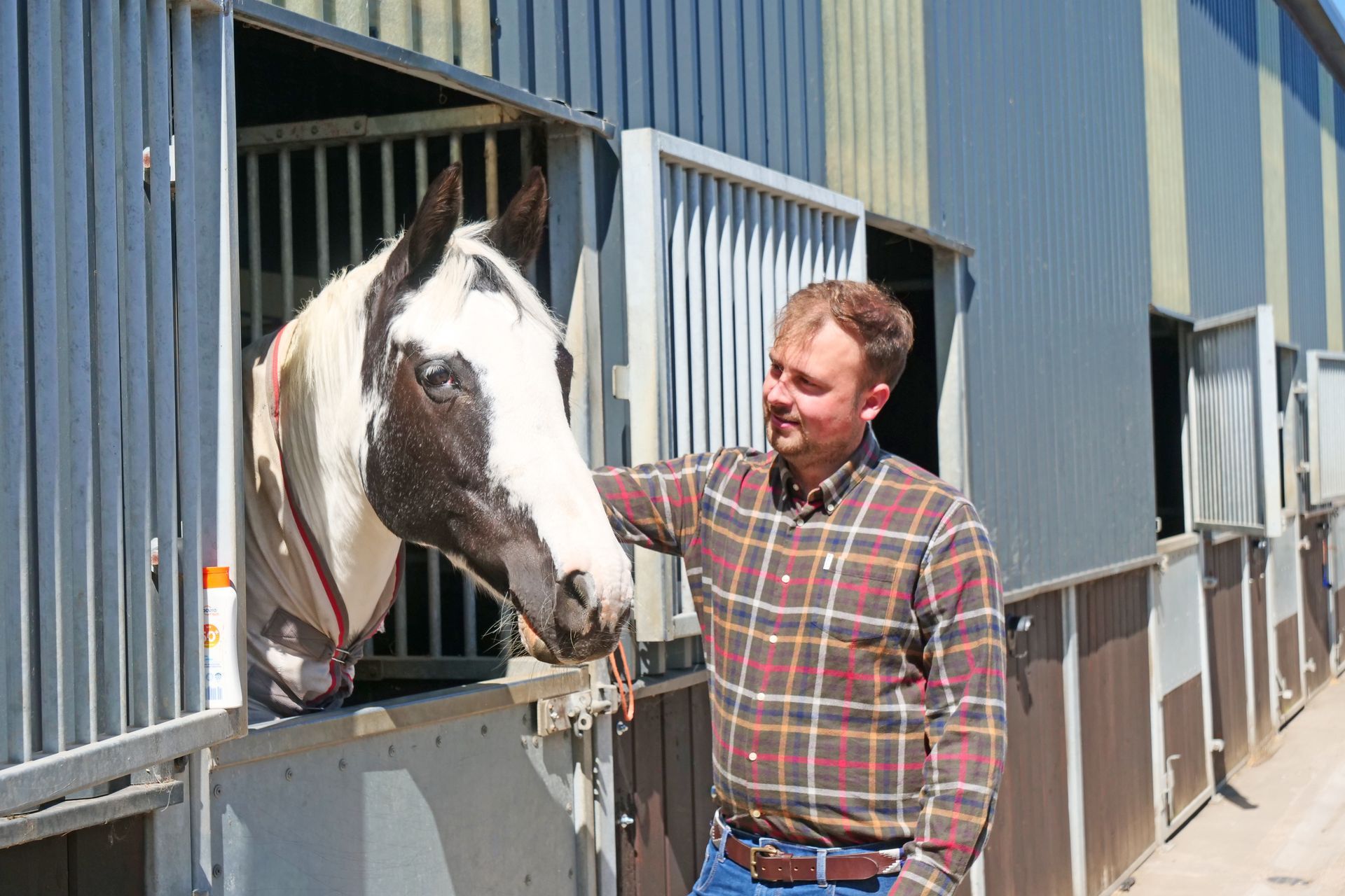 A man in a plaid shirt is petting a horse in a stable.