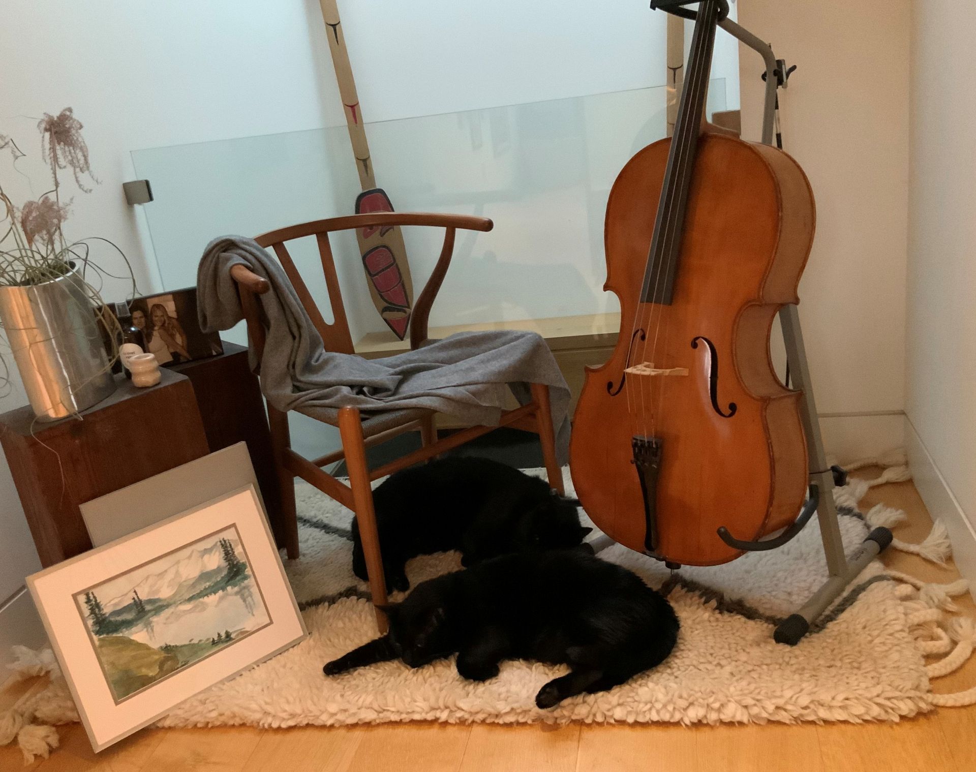 Two black dogs sleeping on a rug next to a cello, chair, and framed artwork.