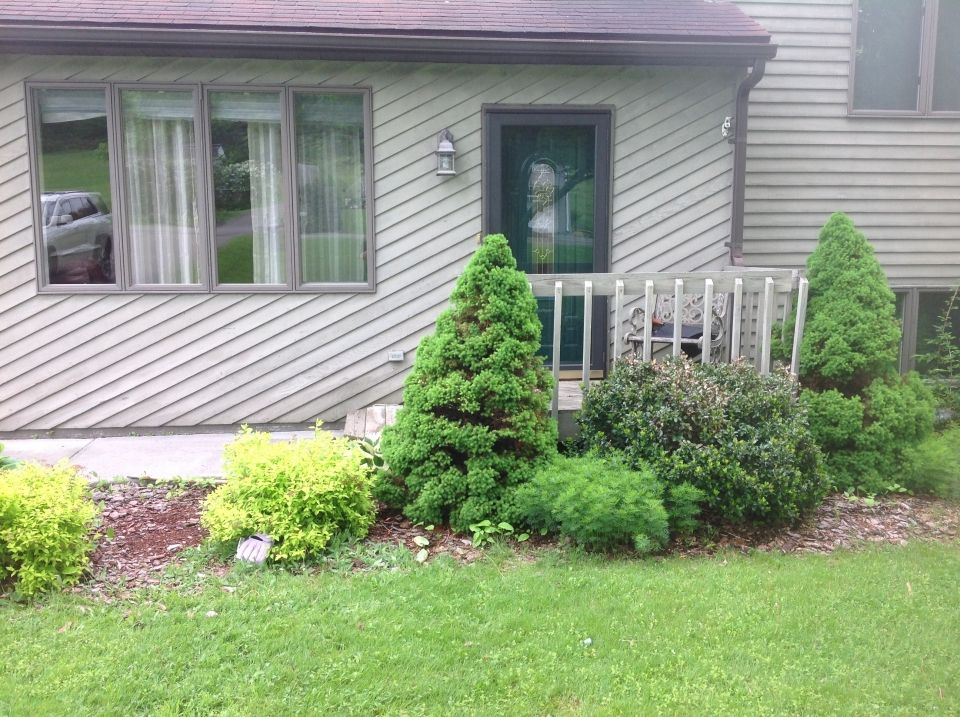 Front view of a house with a green door and various green bushes and trees in front of it.