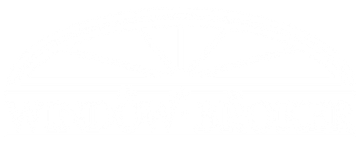 White horizontal line on a white background.