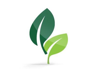 Two overlapping green leaves, one dark and one light, on a white background.