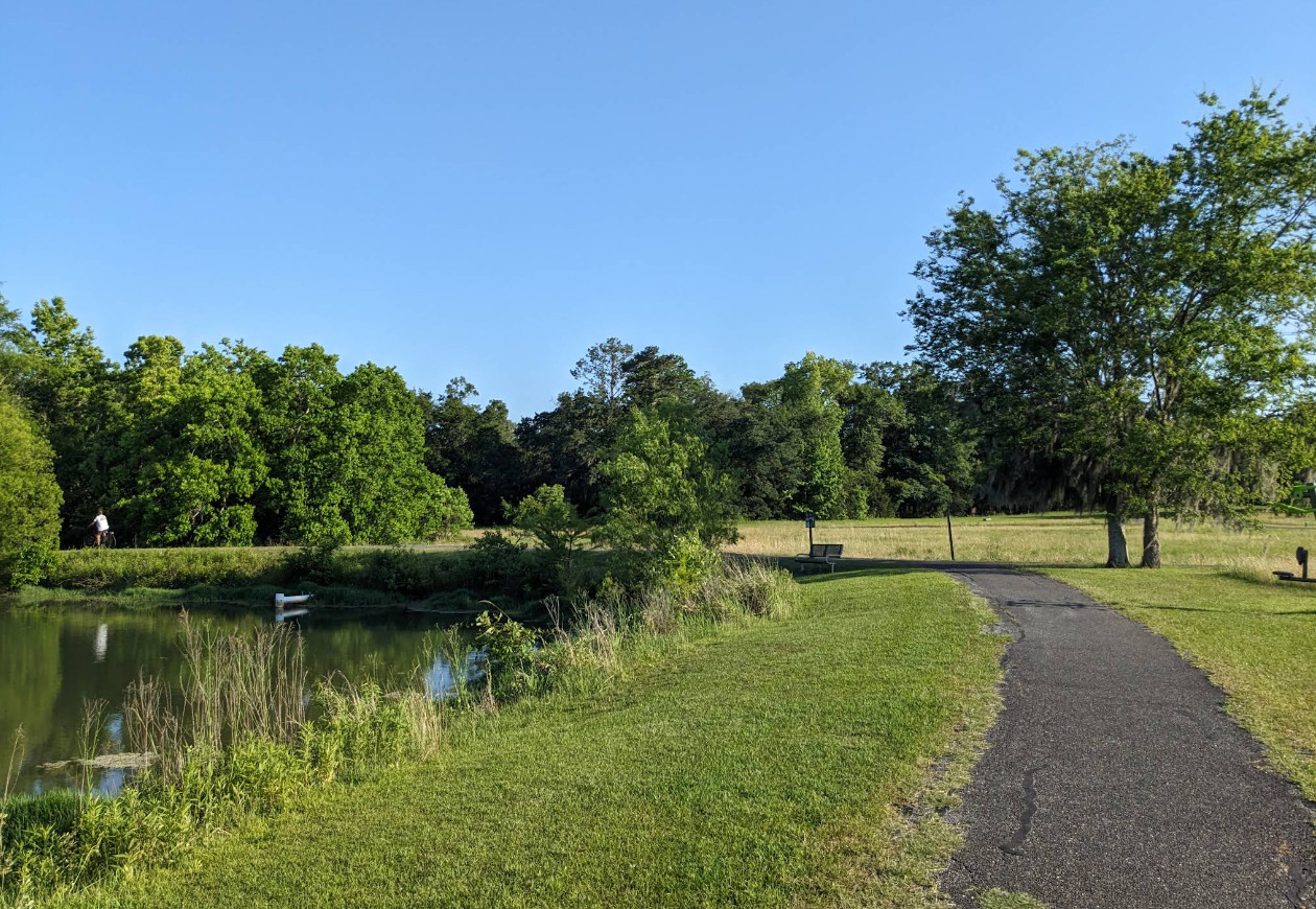 A gravel path next to a pond, green grass, trees, and blue sky.