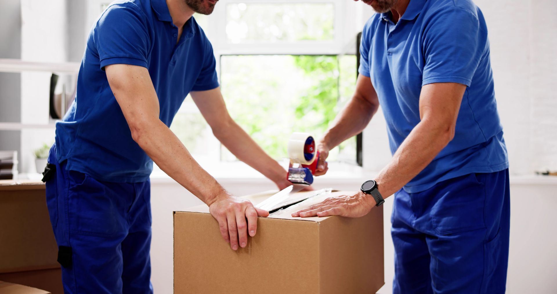 Two Men Are Packing a Cardboard Box Together in a Living Room