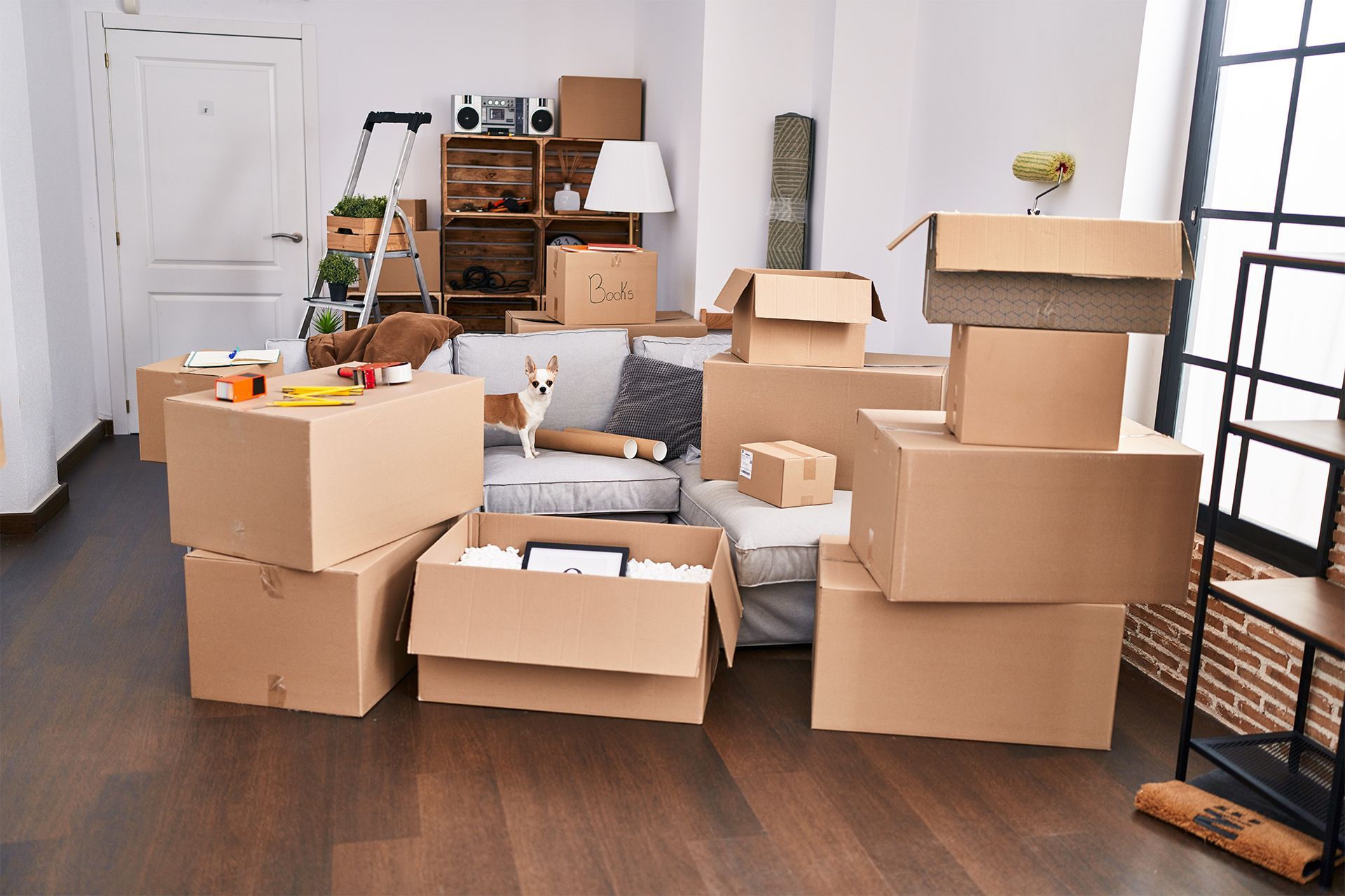 Living Room Filled With Moving Boxes and a Dog Sitting on Couch