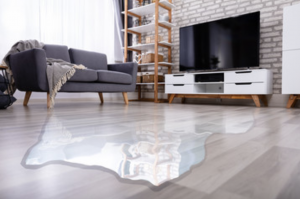 Spilled water on a hardwood living room floor beside a gray sofa and TV stand
