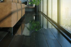 Sunlit living room floor beside a brown sofa and large windows, with reflections on dark wood flooring