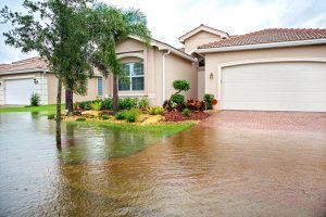 Flooded suburban house with wet driveway and garage, palm tree in front yard
