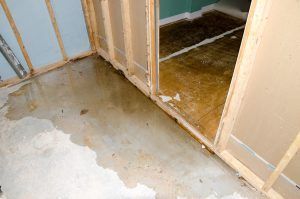 Water-damaged room with peeling walls, exposed studs, and wet stained floor near a doorway