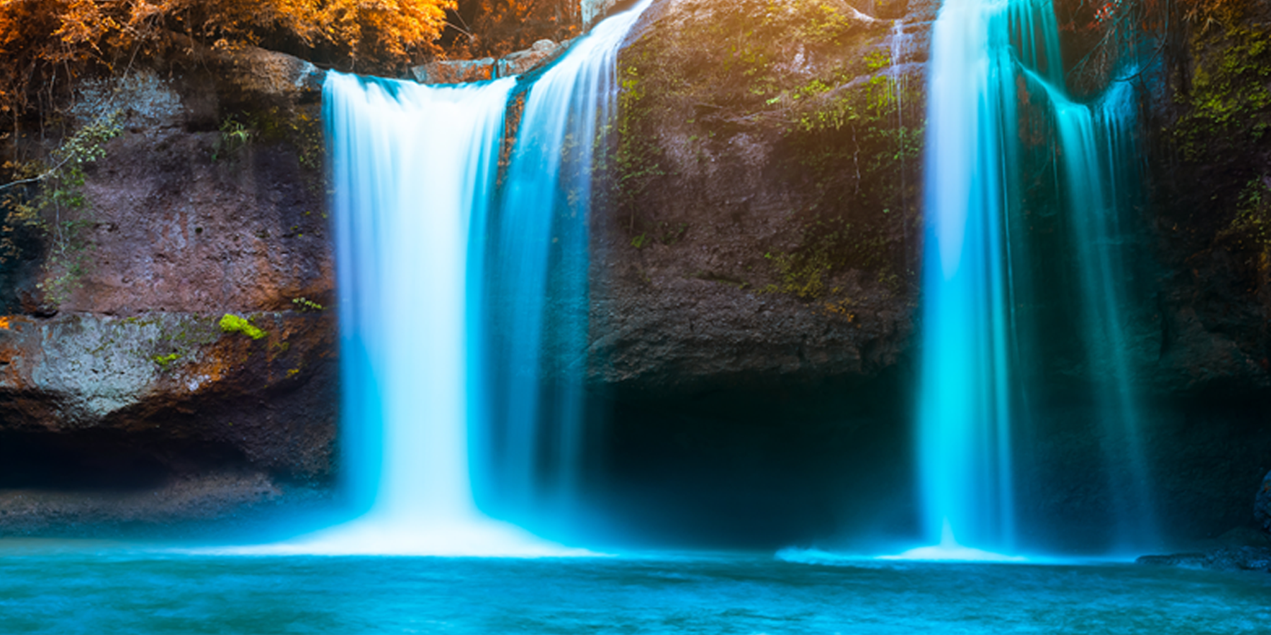 The A.F. Bennett Sanctuary