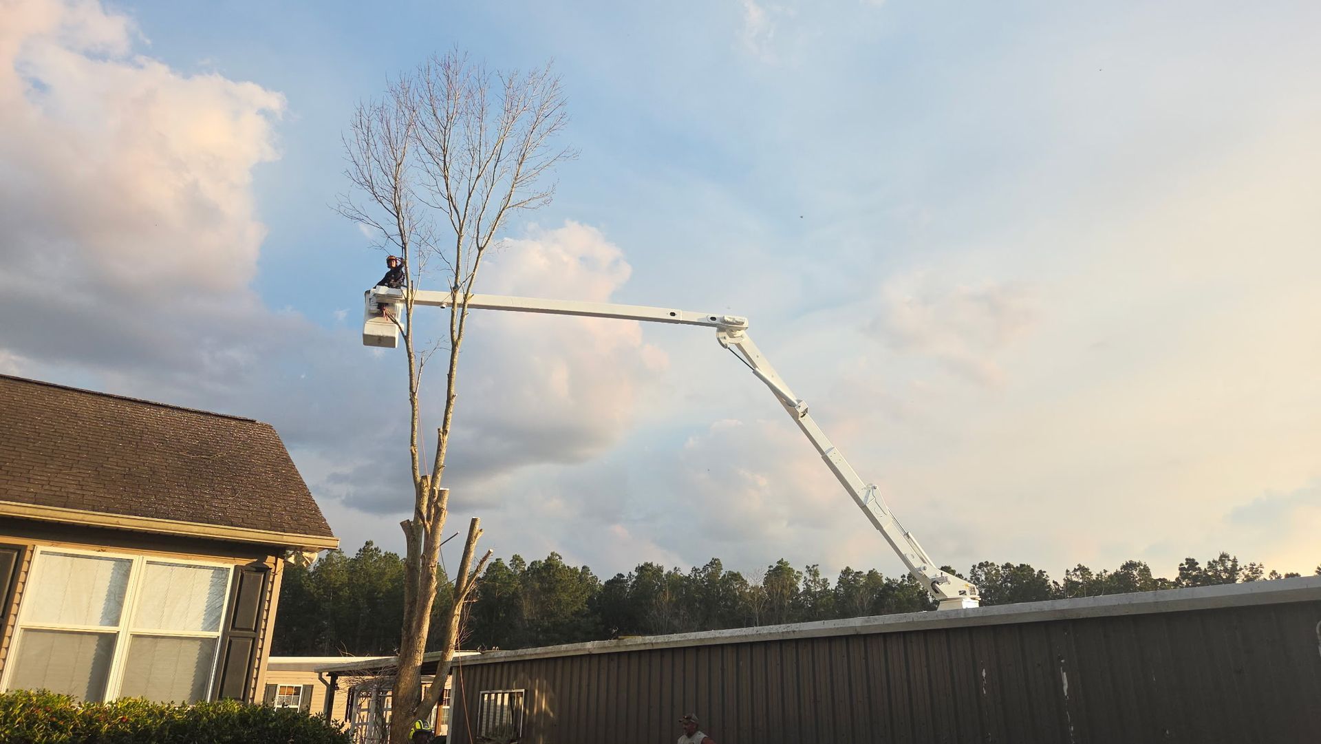 Backyard with a tall tree-removal lift beside a house and fence under a clear sky
