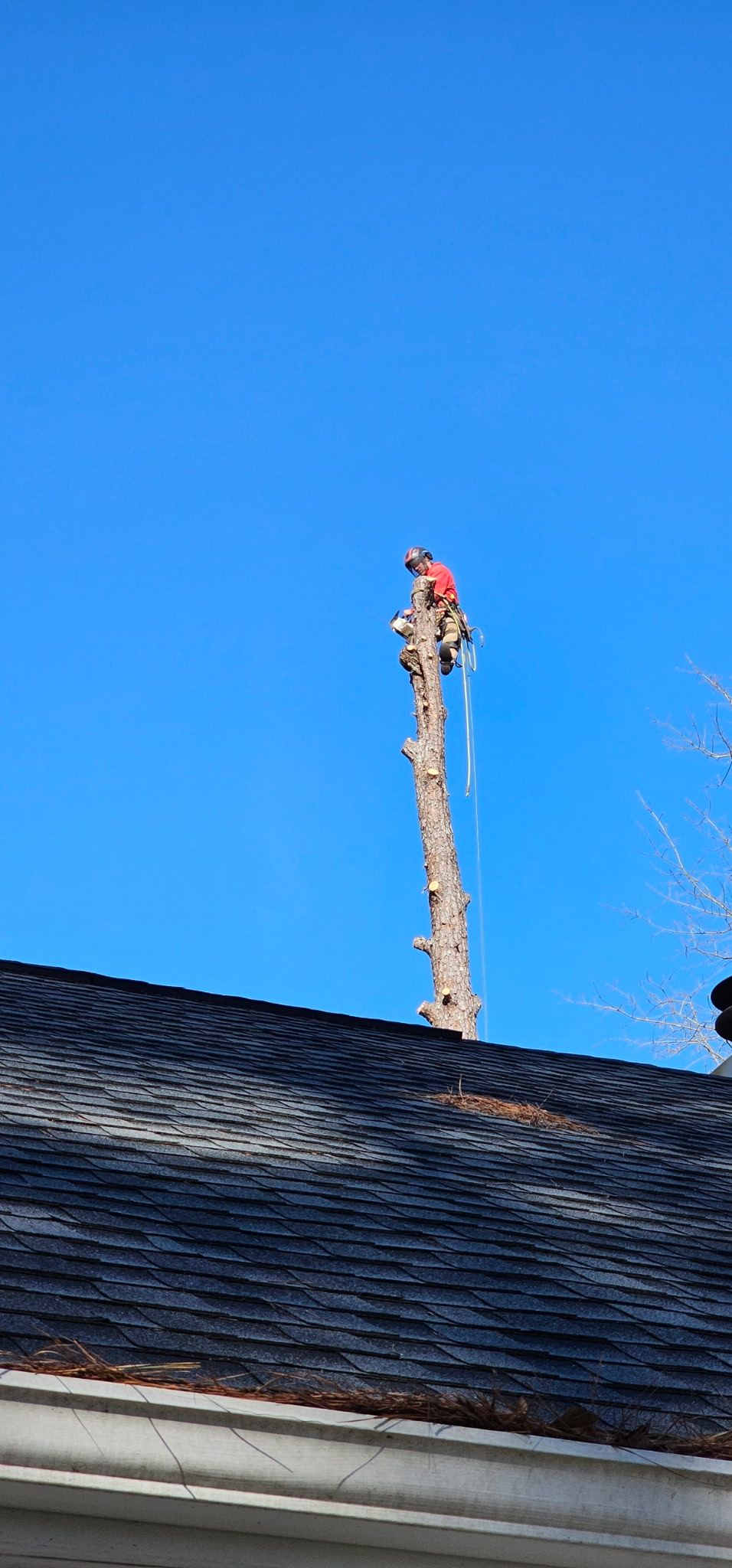 Rooftop chimney or antenna against a bright blue sky, above a dark shingled roof.