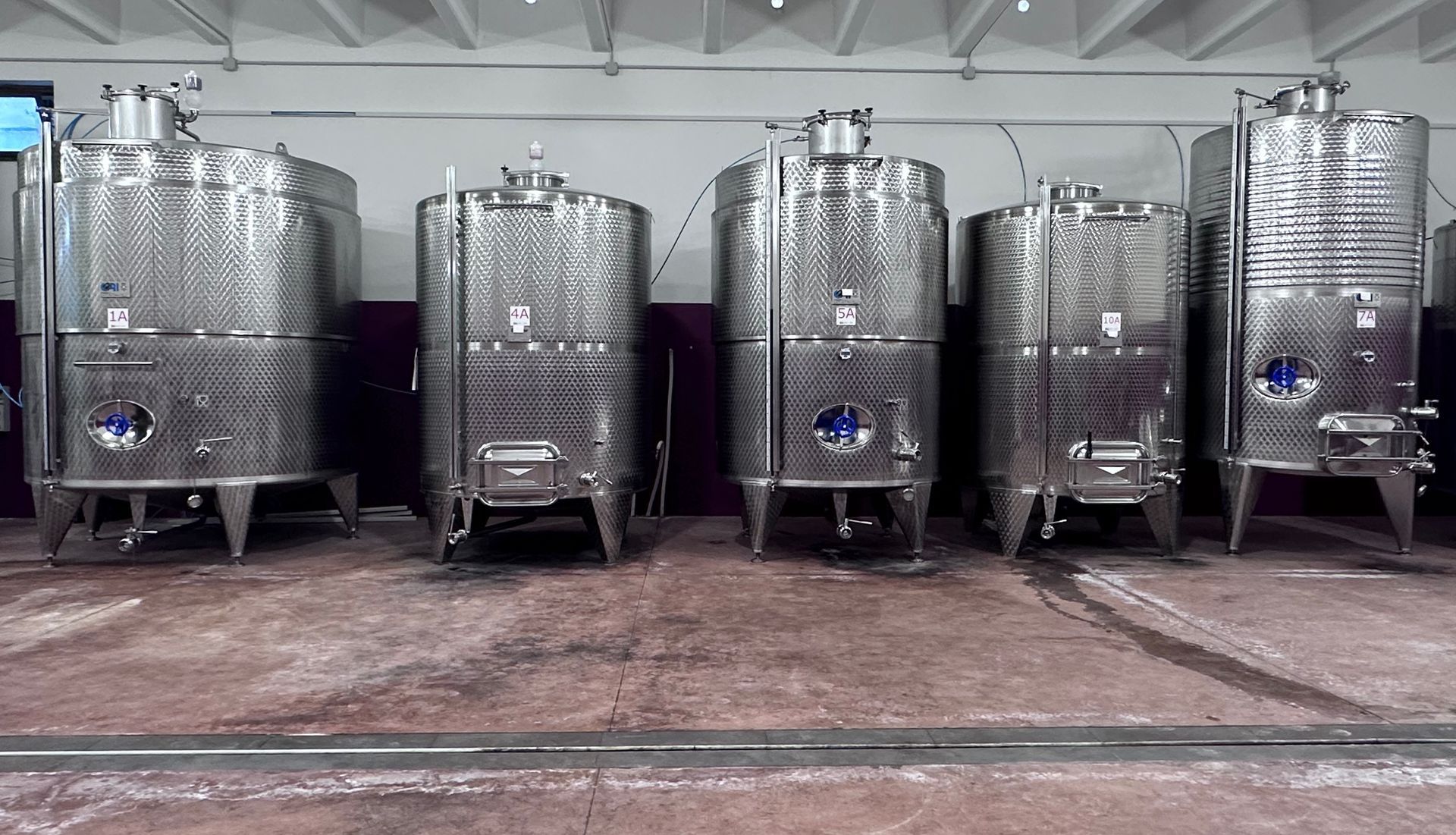 Cantina 600 Grotte, produzione vino