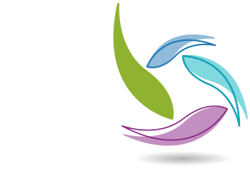 תימורה שפירא - לוגו