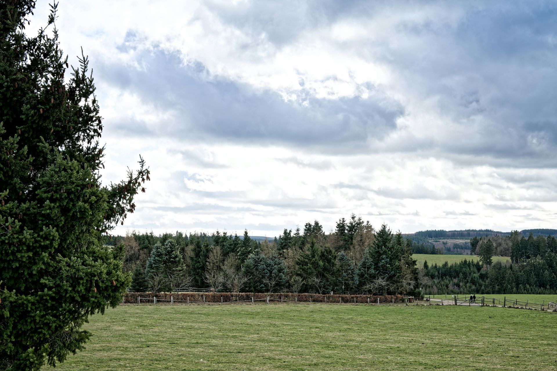 12 כלים פרקטיים להרגעה ולהתמודדות עם סטרס וחרדה