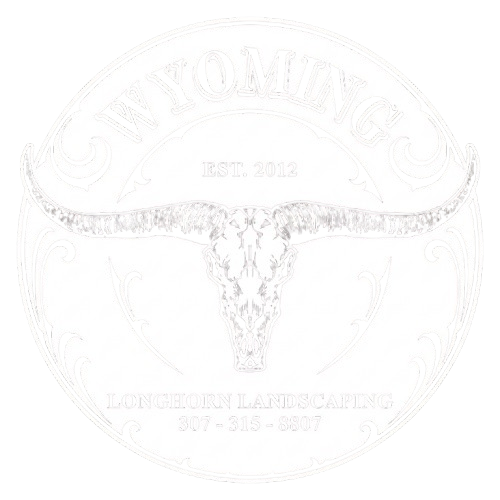 Round white logo with a longhorn skull and faded text, including “EST 2012” and “Longhorns.”
