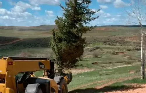 Yellow off-road vehicle on a dirt road overlooking a grassy valley and hills, with trees in the foreground