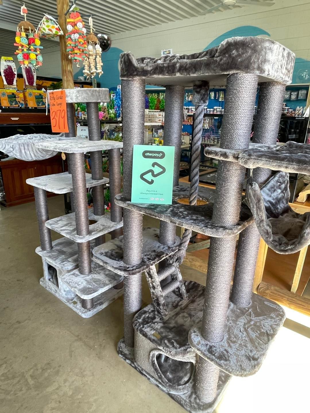 Large Cat Climbing Tree— Perfect Pets Kingaroy Professional Dog Grooming in Kingaroy, QLD