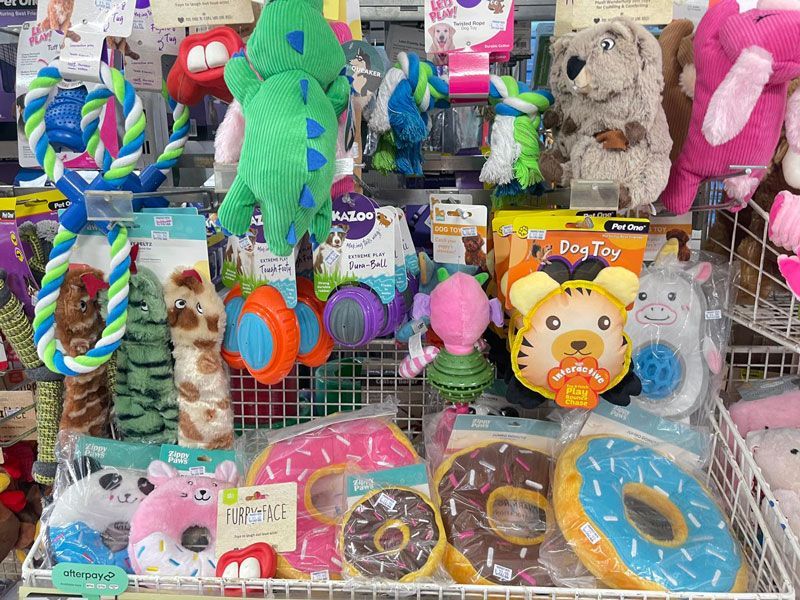 A Fish Tank With a Piece of Wood — Perfect Pets Kingaroy Professional Dog Grooming in Kingaroy, QLD