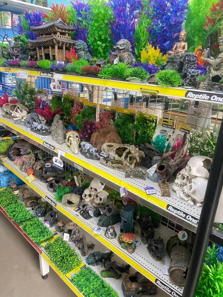 A Display of Fish Tank Decorations and Plants in a Store — Perfect Pets Kingaroy Professional Dog Grooming in Kingaroy, QLD
