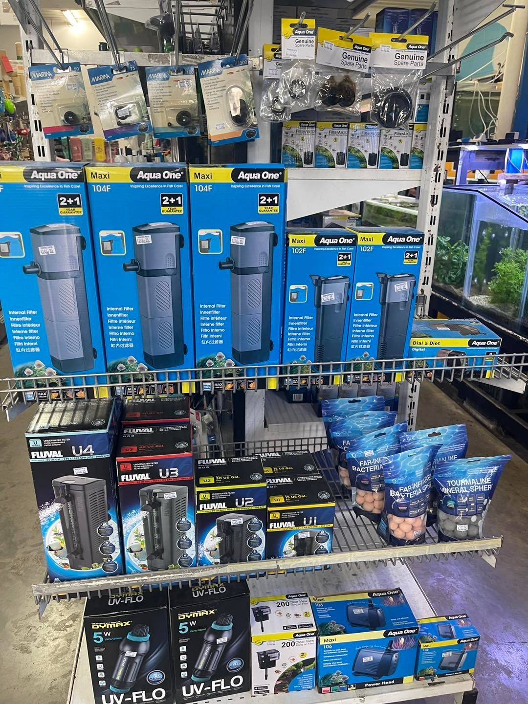 Two Fish are Swimming in a Tank With Filter — Perfect Pets Kingaroy Professional Dog Grooming in Kingaroy, QLD