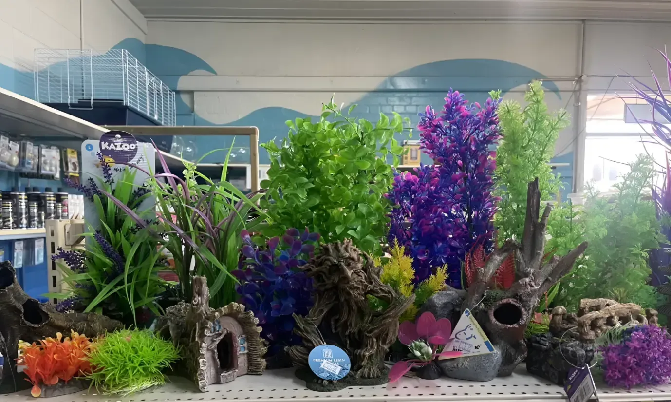 A Fish Tank Filled With Lots of Plants and Rocks — Perfect Pets Kingaroy Professional Dog Grooming in Kingaroy, QLD