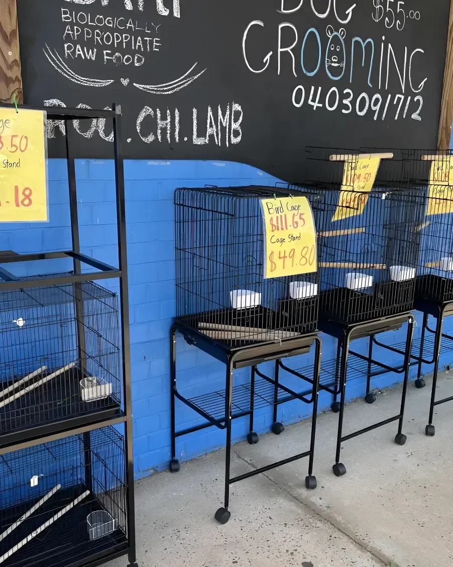 A Row of Cages Are Lined Up — Perfect Pets Kingaroy Professional Dog Grooming in Kingaroy, QLD