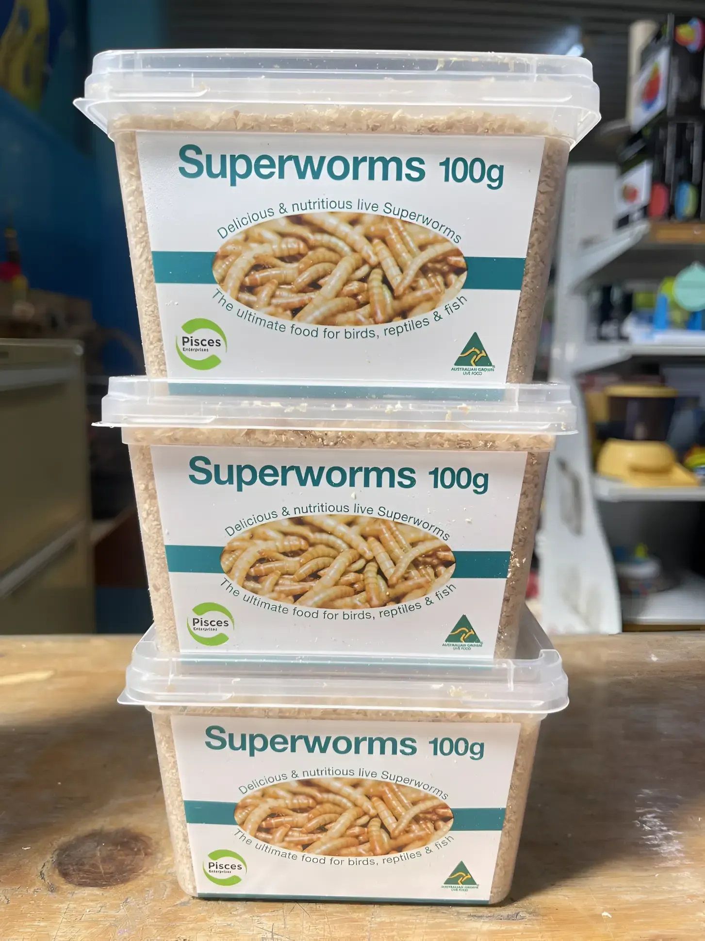 Three Containers of Superworms Are Stacked — Perfect Pets Kingaroy Professional Dog Grooming in Kingaroy, QLD