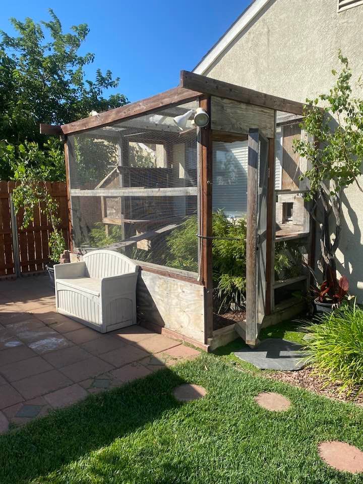 Outdoor cat enclosure with shelves, mesh sides, and wooden door, set on a brick patio with a bench.