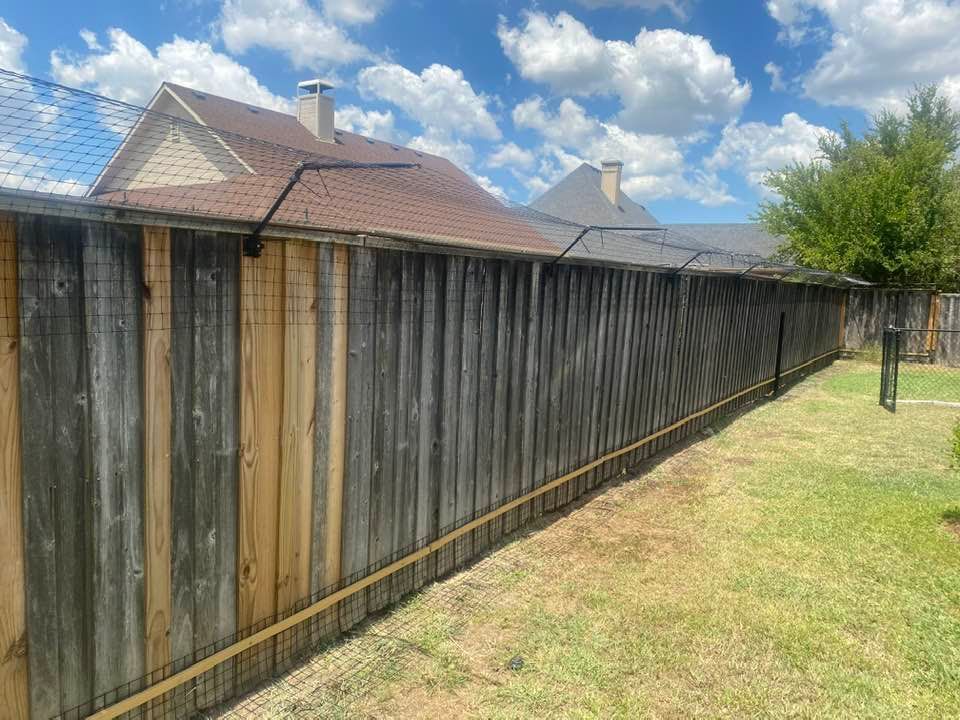 Wooden fence with anti-cat netting along a grassy lawn on a sunny day.