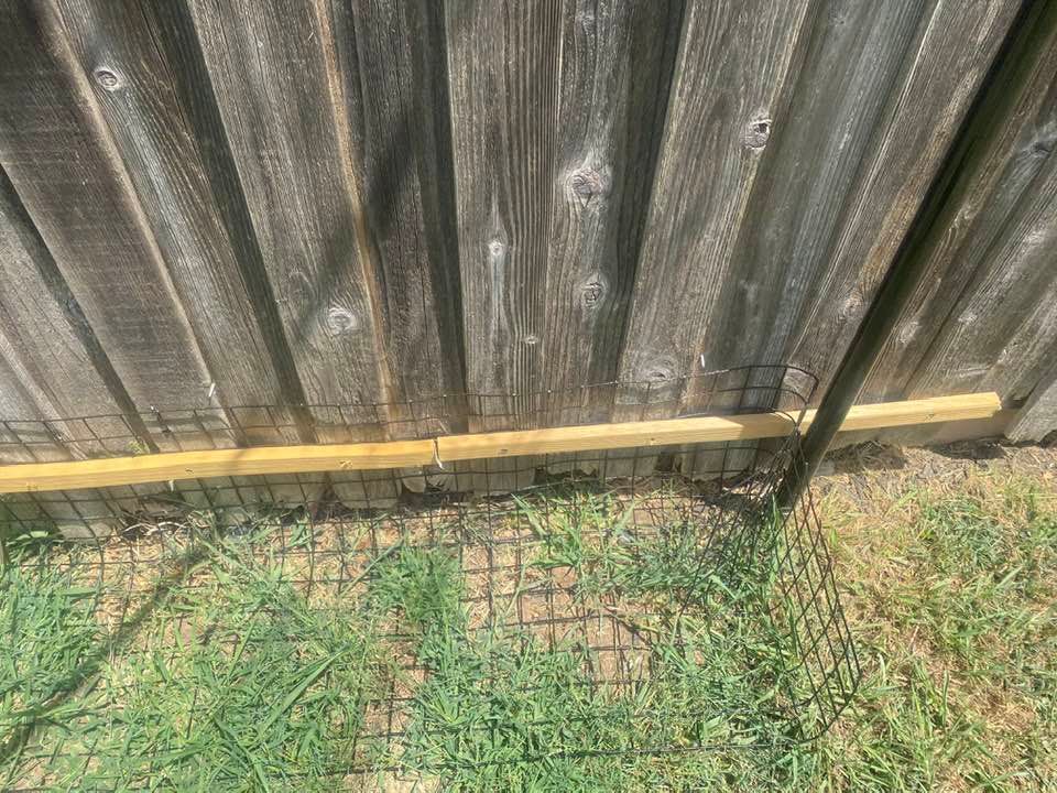 Wooden fence with wire mesh at the base, built over grass.