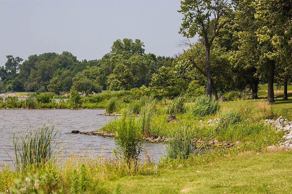 Moving to Pontoon Beach