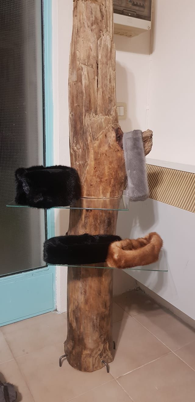 Un tiragraffi verticale in legno con tre ripiani in vetro e cuccette in peluche nere e marroni, in un ambiente domestico.