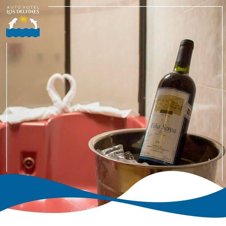 AUTO HOTEL LOS DELFINES - VINOS