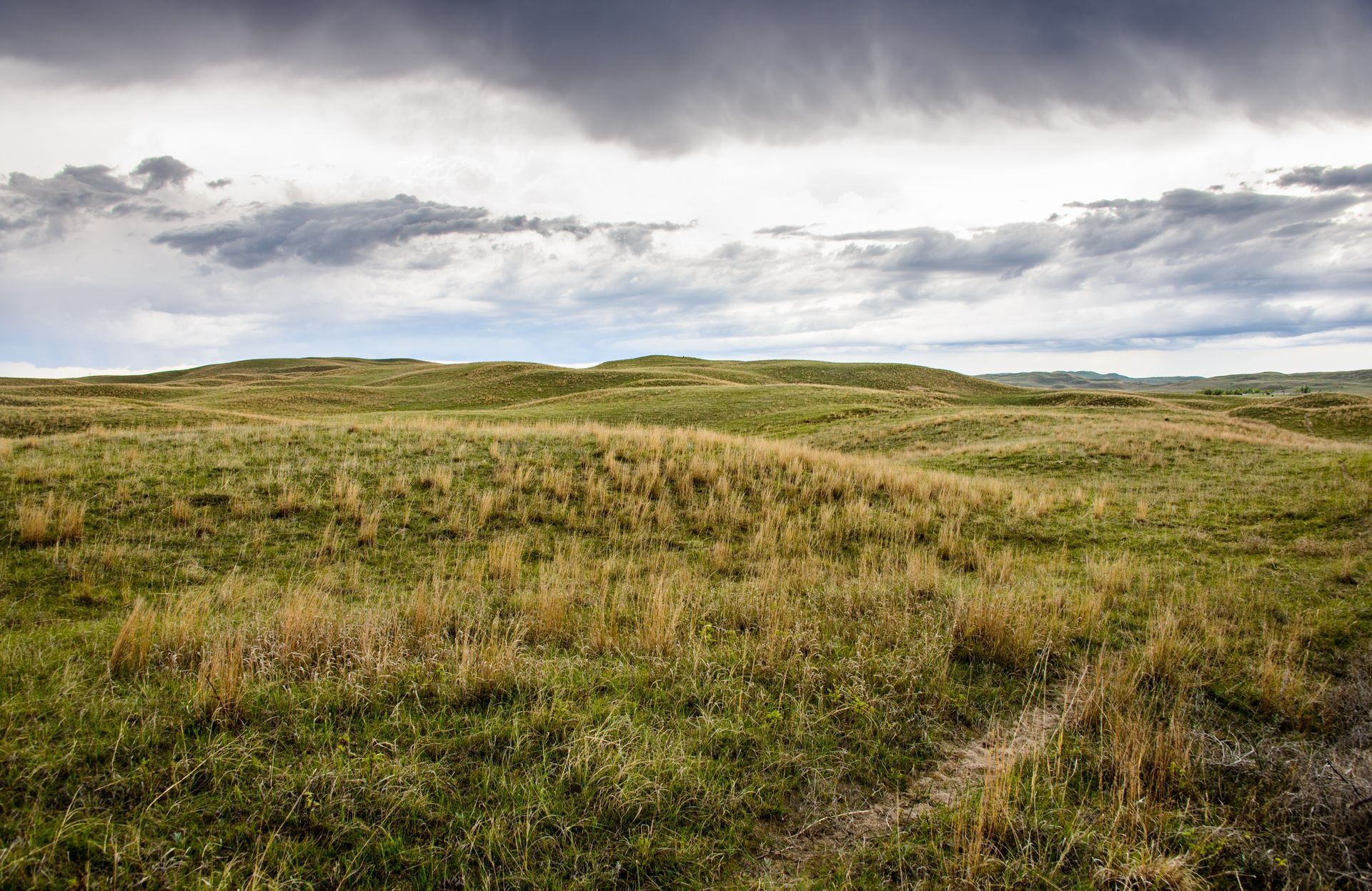 Grassy field under a cloudy sky, low hills in the distance. Green and brown grasses.