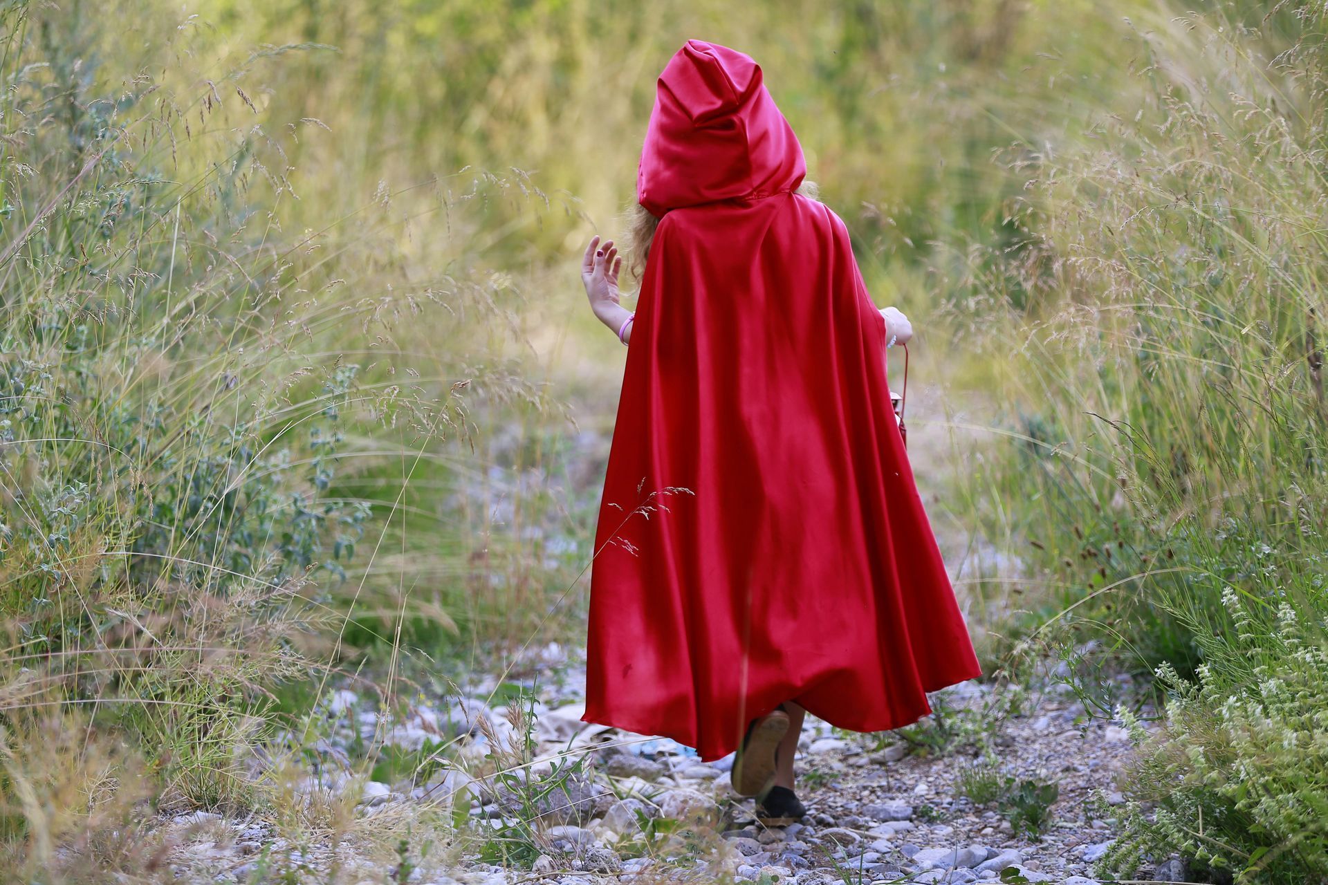 Little red riding hood is walking down a path in the woods.