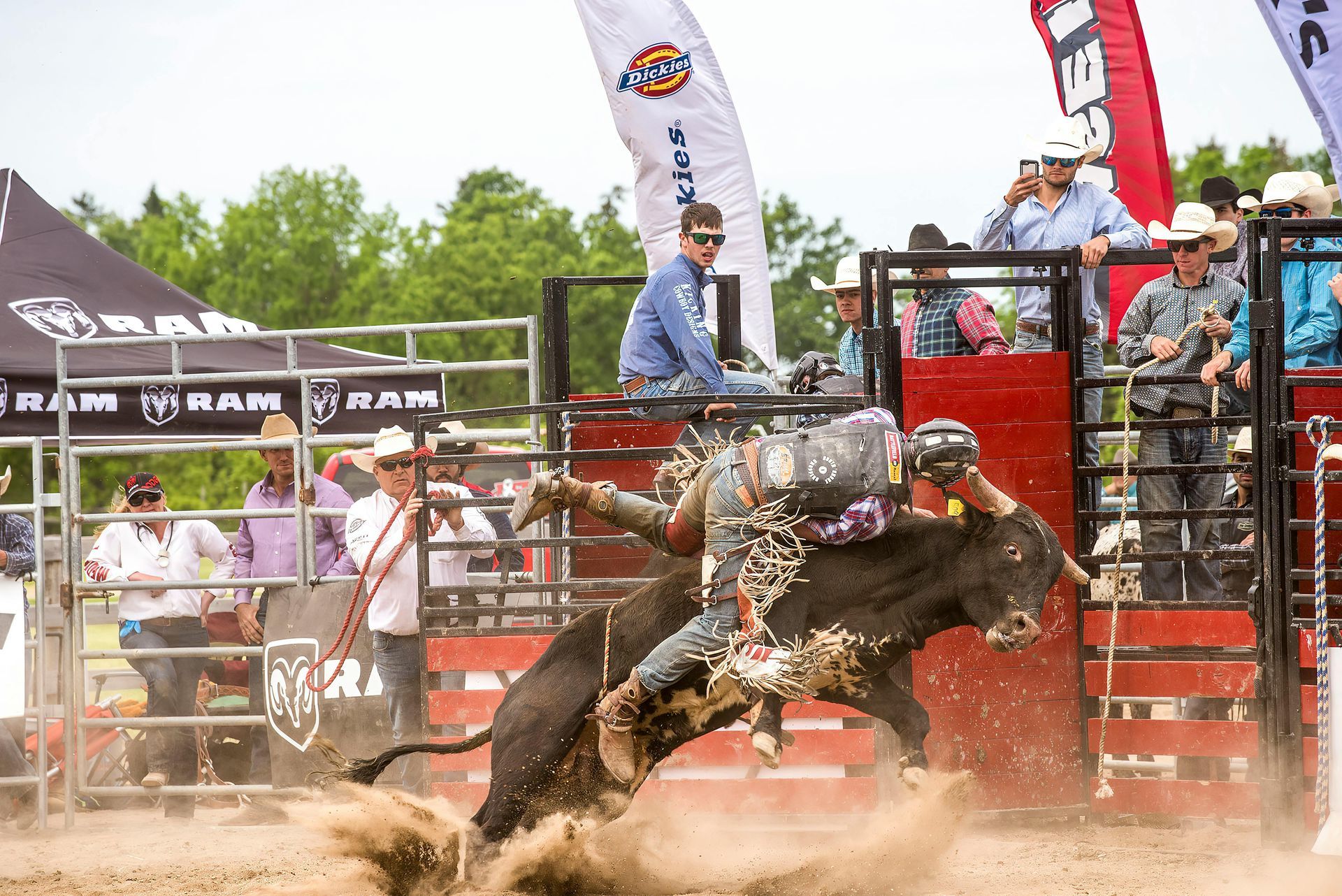 A man is riding a bull in a rodeo.