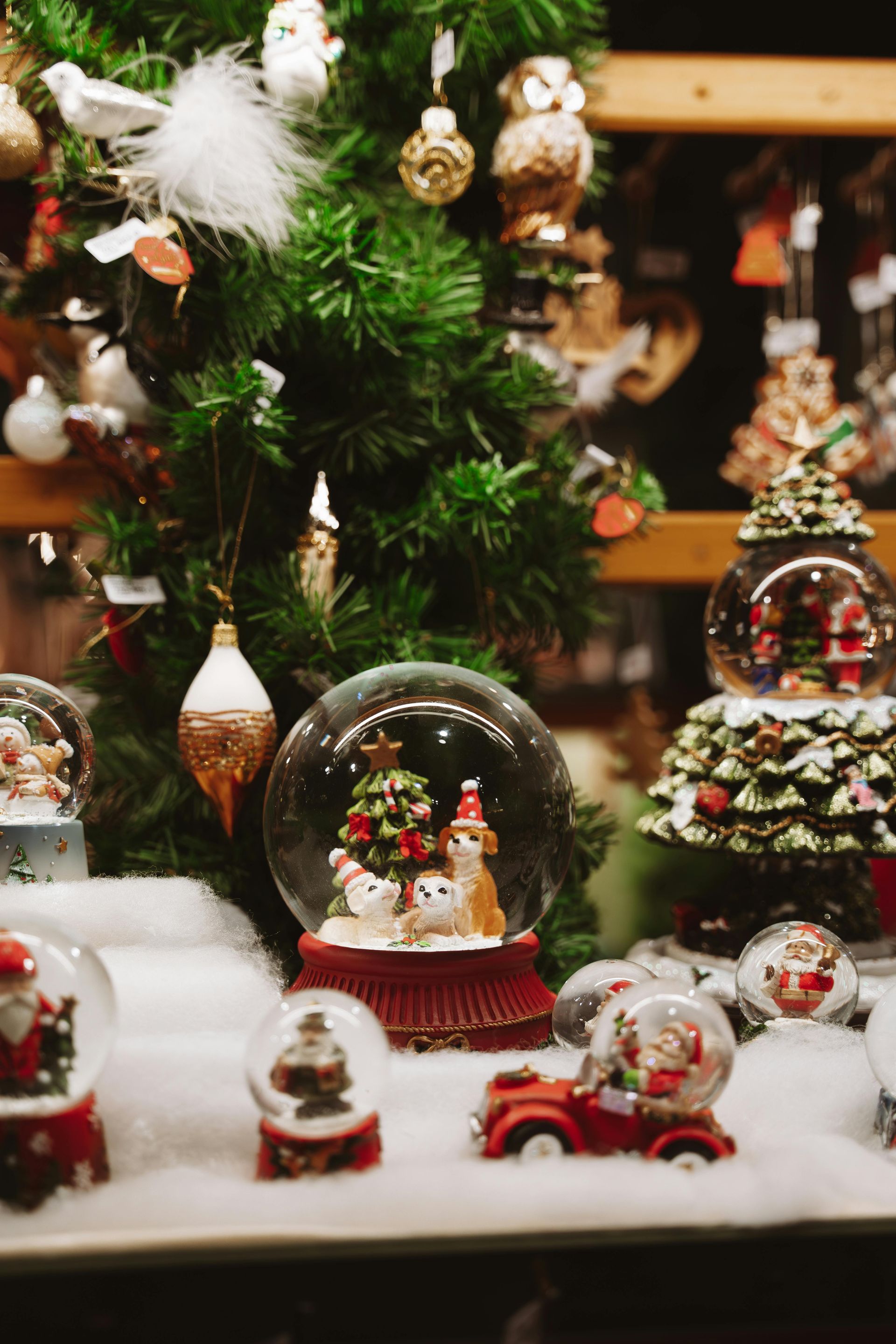 Christmas display with snow globes, a small tree, and ornaments in a shop window.