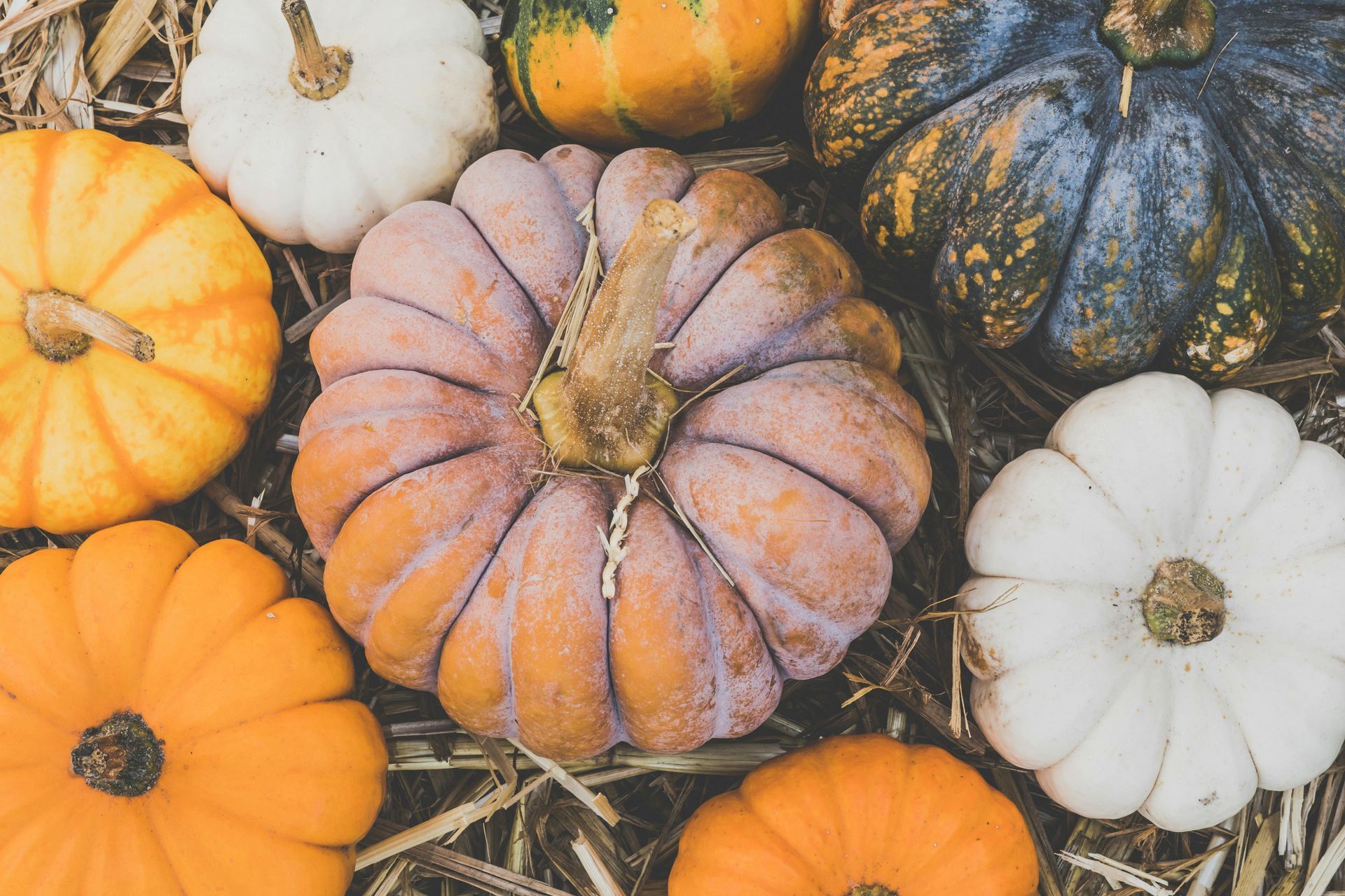 A bunch of different colored pumpkins are sitting on top of a pile of hay.