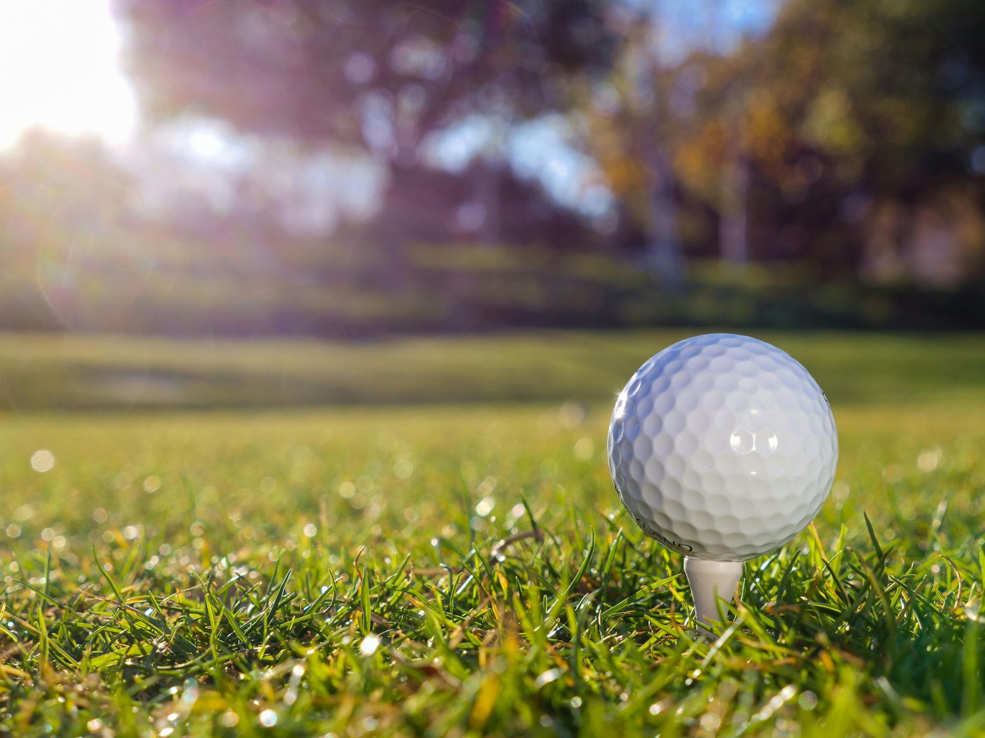 A white golf ball sits on a wooden tee in bright green grass, with a soft-focus background of trees and sunlight.
