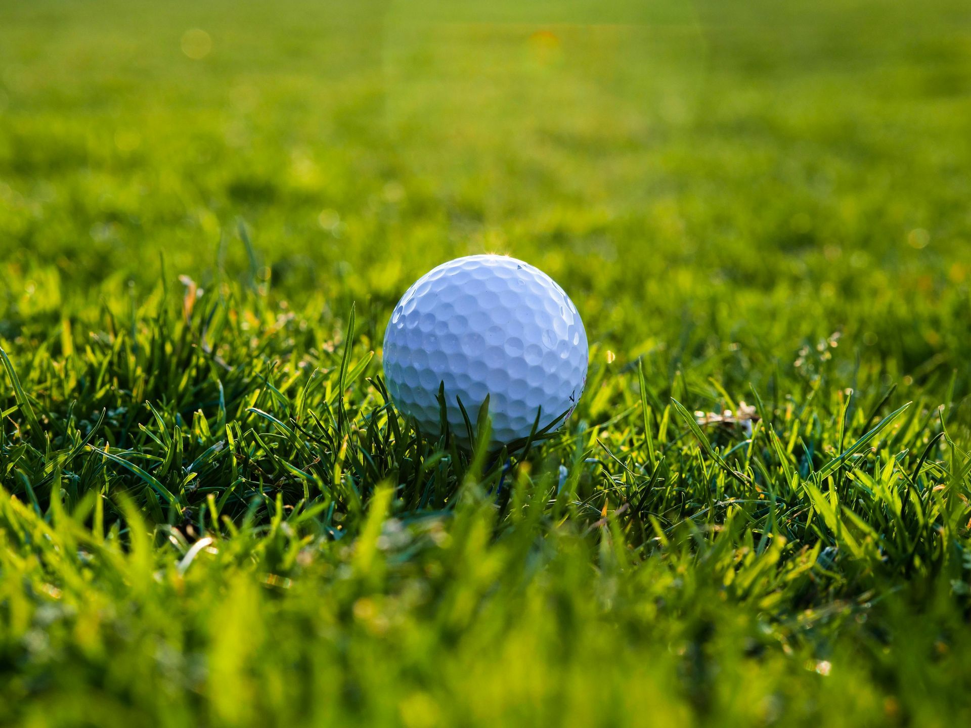 A single white dimpled golf ball resting in vibrant green grass on a golf course.