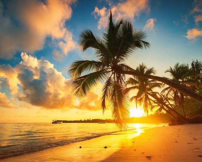 Couple Talking to a Real State Agent