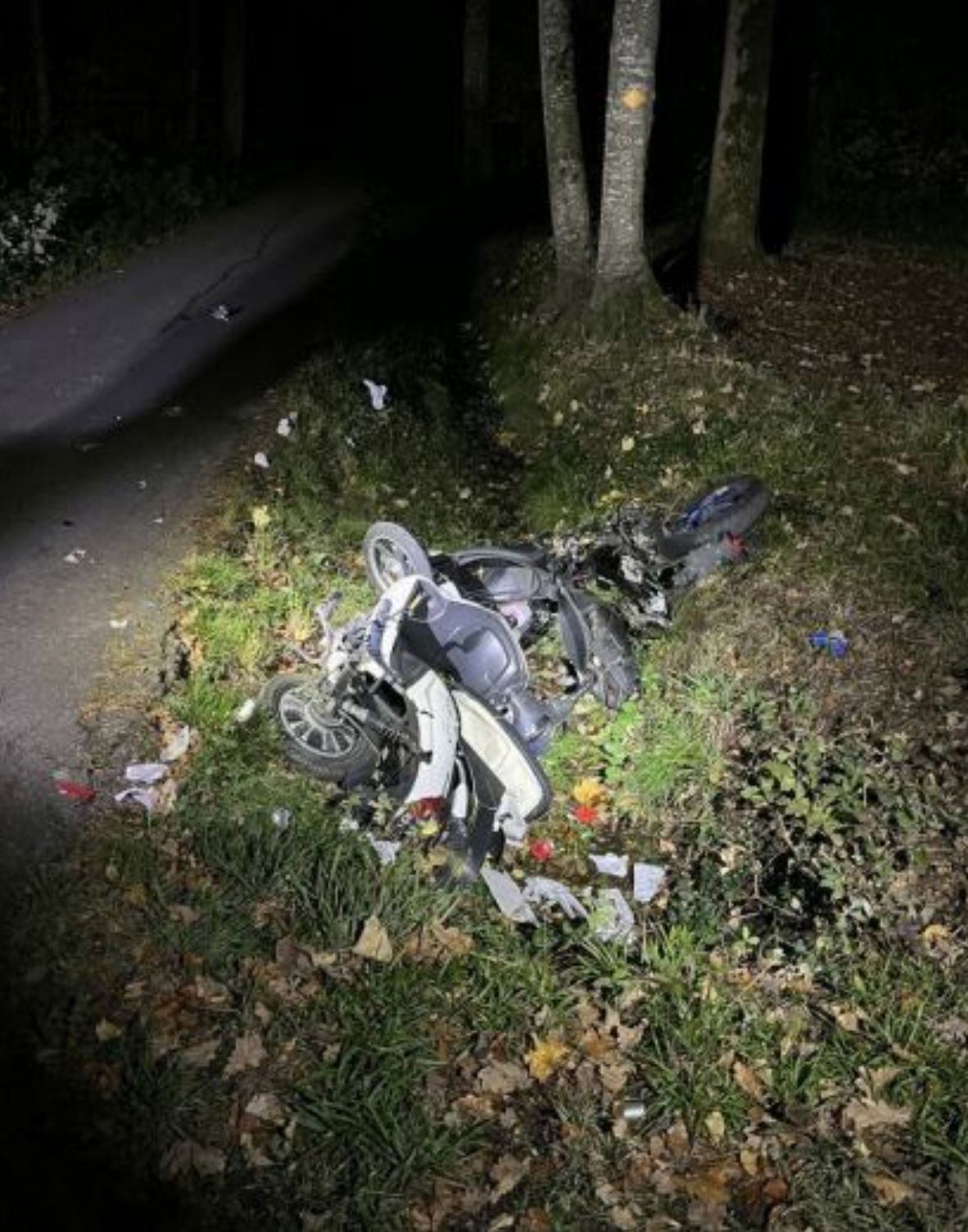 Ein Motorrad liegt im Gras am Straßenrand.